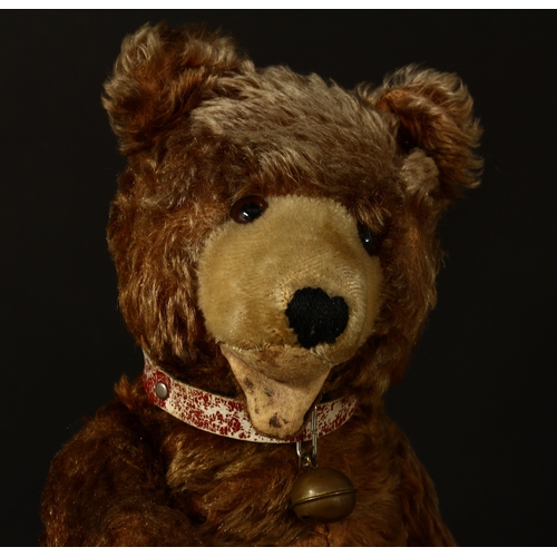 4073 - A 1930's/1940's brown mohair jointed Zotty type teddy bear, amber and black glass eyes, pronounced s... 