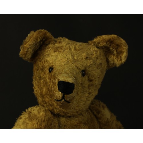 4075 - A golden plush mohair jointed teddy bear, amber plastic eyes, pronounced snout with horizontally bla... 