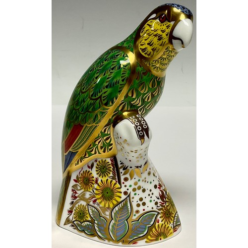 26 - A Royal Crown Derby paperweight, Amazon Green Parrot, specially commissioned limited edition, 1,962/... 