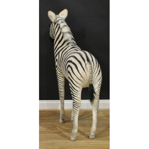 4048 - A large shop display/point of sale model of a Zebra, probably by Steiff (Germany) or similar, brown ... 