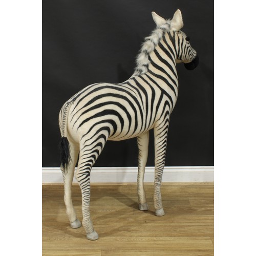 4048 - A large shop display/point of sale model of a Zebra, probably by Steiff (Germany) or similar, brown ... 