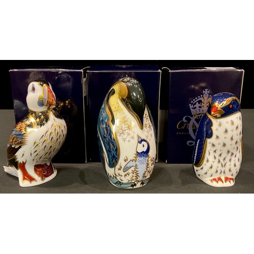 80 - A Royal Crown Derby paperweight, Rockhopper Penguin, gold stopper, boxed; others, Penguin and Chick,... 