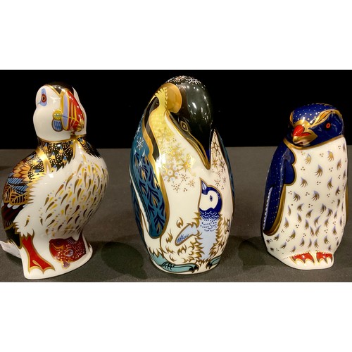 80 - A Royal Crown Derby paperweight, Rockhopper Penguin, gold stopper, boxed; others, Penguin and Chick,... 