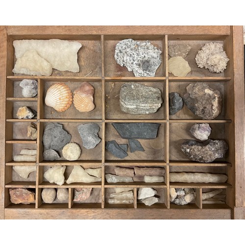 758 - Natural History - Conchology - Geology - a collection of sea shells, rock and mineral specimens, inc... 