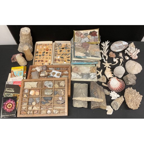 758 - Natural History - Conchology - Geology - a collection of sea shells, rock and mineral specimens, inc... 