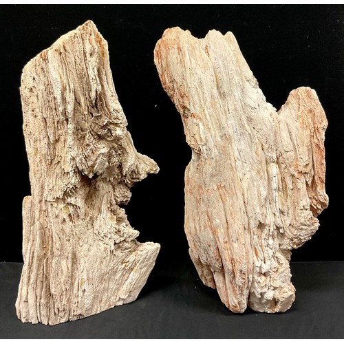 761 - Natural History - Palaeontology - a large section of fossilised wood, 64cm high, Madagascar; another... 