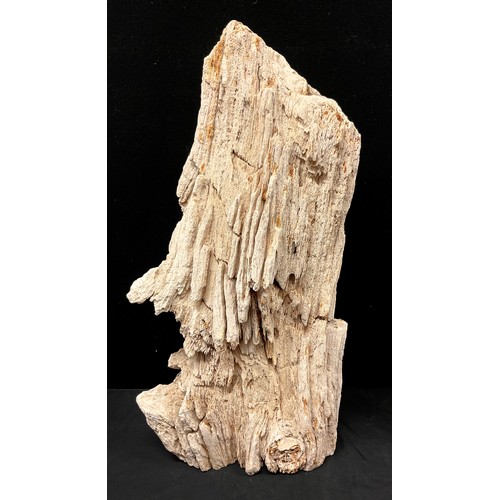 761 - Natural History - Palaeontology - a large section of fossilised wood, 64cm high, Madagascar; another... 