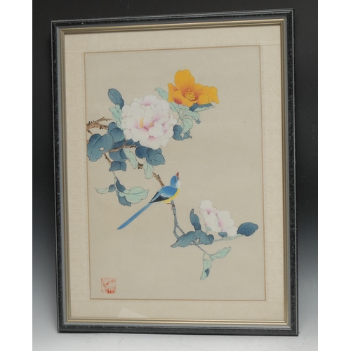 892 - Chinese School
Songbird on a Flowering Branch
watercolour and gouache, 39cm x 28cm