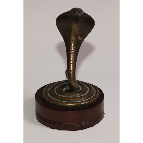 283 - A bronze novelty pocket watch stand, as a coiled Indian cobra, hardwood base, 15cm high