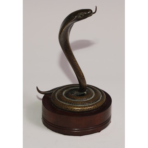 283 - A bronze novelty pocket watch stand, as a coiled Indian cobra, hardwood base, 15cm high