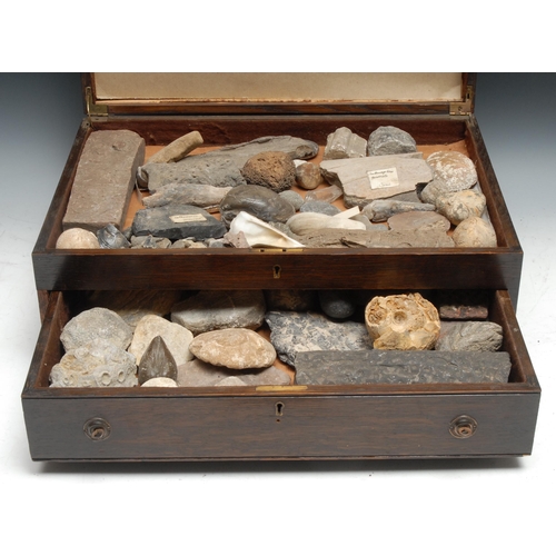 760 - Natural History - Palaeontology - a collection of of fossils and specimens, some labelled, Anthracop... 