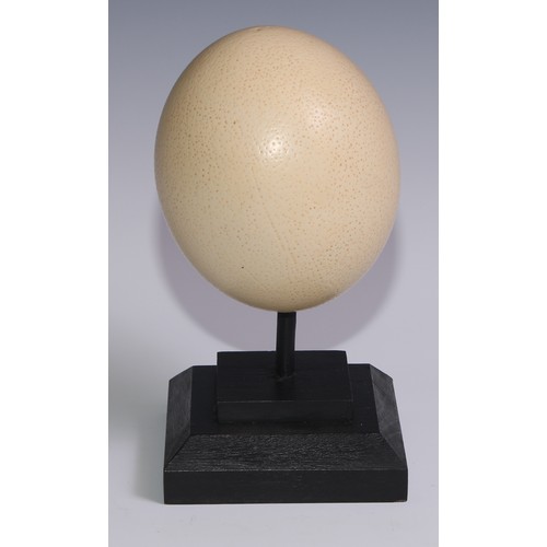 757 - Natural History - an ostrich egg, mounted for display, 23cm high overall