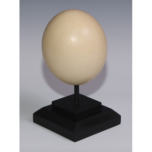 757 - Natural History - an ostrich egg, mounted for display, 23cm high overall