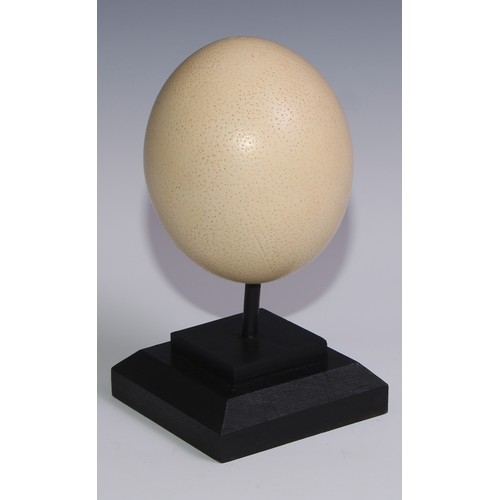 757 - Natural History - an ostrich egg, mounted for display, 23cm high overall