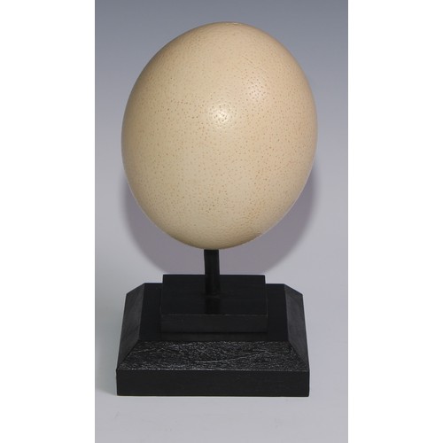 757 - Natural History - an ostrich egg, mounted for display, 23cm high overall