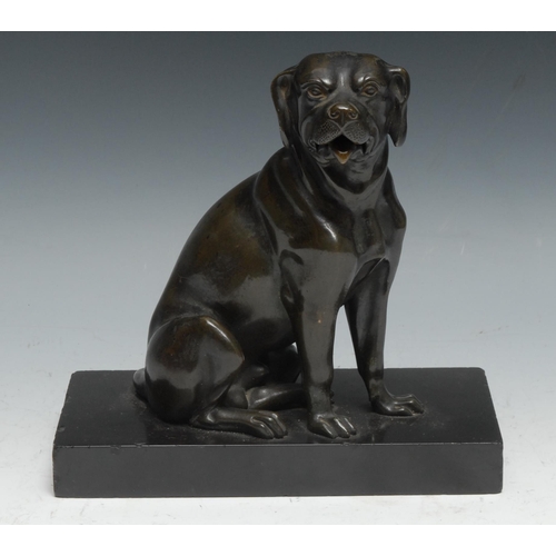 21 - A 19th century French brown patinated bronze novelty card or letter holder, as a seated dog, his mou... 