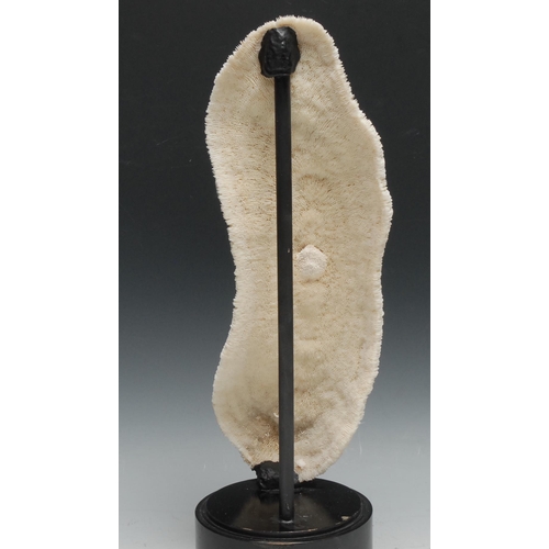 754 - Natural History - a large coral specimen, mounted for display, 37cm high overall