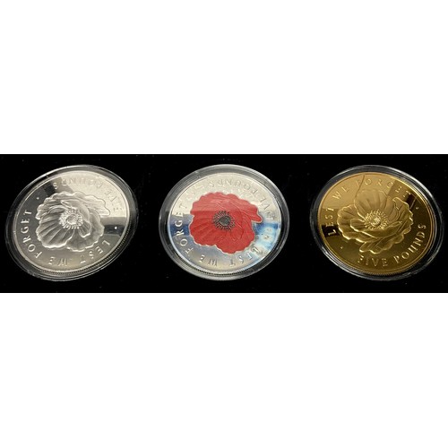 391 - Coins - Jubilee Mint, Remembrance Day Solid Silver Proof £5 Coin Collection, a set of three silver p... 