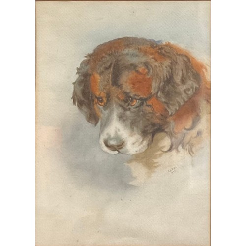 485 - J L Pike (early 20th century)
Portrait of a dog
signed, dated 1903, watercolour, 33cm x 23.5cm