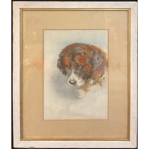 485 - J L Pike (early 20th century)
Portrait of a dog
signed, dated 1903, watercolour, 33cm x 23.5cm