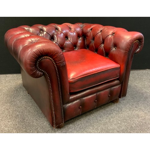 48 - A Chesterfield Club chair, deep button back, scroll arms, Sang de Bouef red leather, 67cm tall (43cm... 