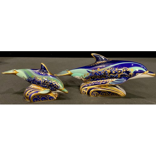 155 - A pair of Royal Crown Derby paperweights, Bottlenose Dolphin and Baby Bottlenose Dolphin, gold stopp... 