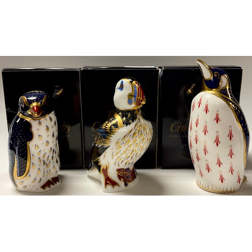 233 - A Royal Crown Derby paperweight, Rockhopper Penguin, gold stopper, boxed; others, Penguin, silver st... 