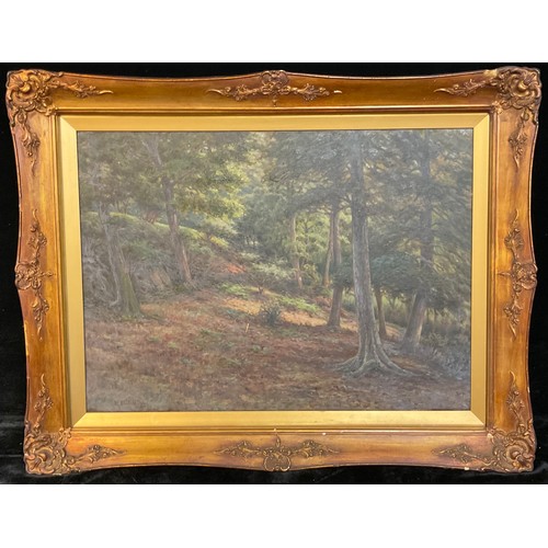 443 - W Brandreth
Woodland Landscape
signed and dated '23, oil on canvas, 51cm x 70cm