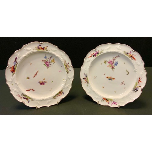 148 - A pair of Chelsea shaped circular plates,  well painted with scattered flowers and insects, the rim ... 