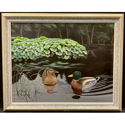 174 - Jonathan Shaw (contemporary)
Mallards
signed, dated 1993, oil on canvas, 54cm x 69cm