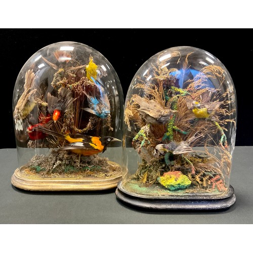 248 - Taxidermy - a Victorian glass domed montage, seven exotic birds, oval gilt base, 37cm high, another ... 