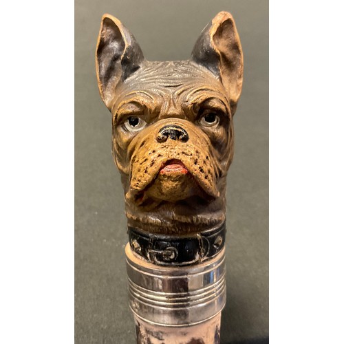 231 - A French Bulldog handled walking stick, well defined and painted handle, slightly tapering hardwood ... 