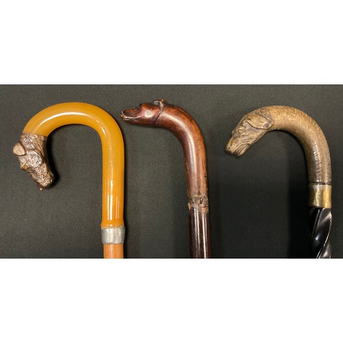 238 - An early 20th century dogs head walking stick,  carved handle as a snarling hound, spiralled shaft, ... 