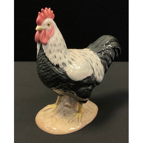 37 - A Beswick Sussex Cockerel,  designed by Arthur Gredington, 17cm high, model no. 1899