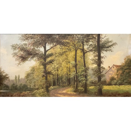 127 - French school, mid 20th century, ‘Avenue of Beech trees’, indistinctly signed, oil on canvas, 49.5cm... 