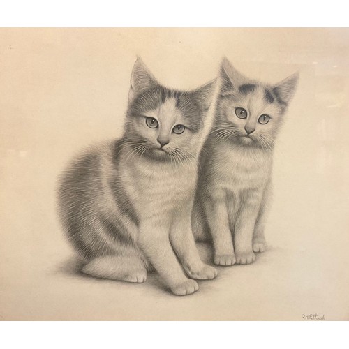103 - R. H. Petherick, ‘Two Kittens’, signed, fine pencil drawing, 28cm x 31cm.