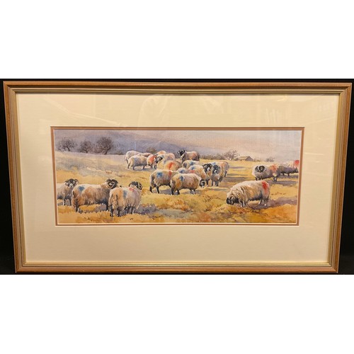 148 - Gina Morton, ‘Swaledale Sheep, Winter’, signed, watercolour, 19.5cm x 49.5cm.