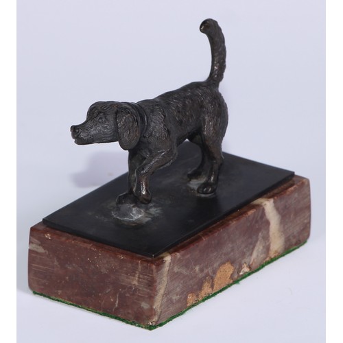 57 - An early 20th century dark patinated cabinet bronze, of a dog, rectangular marble base, 8cm wide