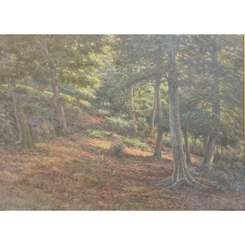 118 - W Brandreth
Woodland Landscape
signed and dated '23, oil on canvas, 51cm x 70cm