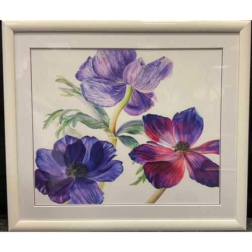 92 - Rosie Sanders, 'Hellebores', signed, watercolour, 57cm x 67cm.