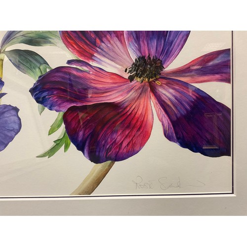 92 - Rosie Sanders, 'Hellebores', signed, watercolour, 57cm x 67cm.