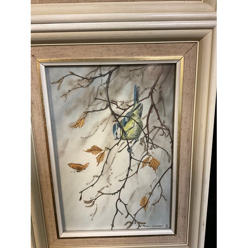 261 - Robin Gibbard (Derbyshire Artist)
Robin with Worm and Honeysuckle
signed, dated 82 watercolour, 36cm... 