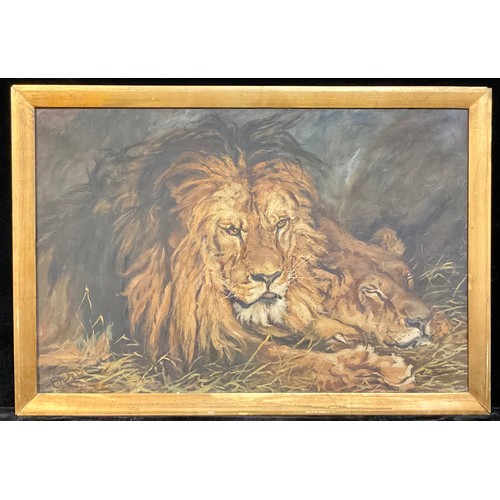 283 - Charles Rowe  
Lion and Lioness 
signed, oil on canvas, 50cm x 76cm