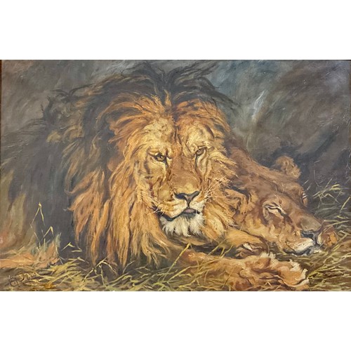 283 - Charles Rowe  
Lion and Lioness 
signed, oil on canvas, 50cm x 76cm