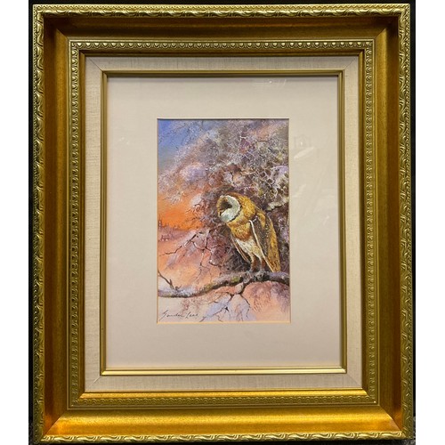 79 - Gordon Lees
Owl in Winter
signed, pastel, gallery certificate to verso, 26cm x 17cm