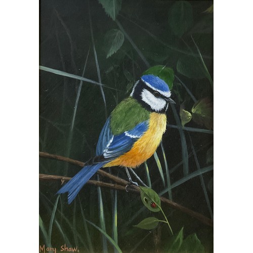 80 - Mary Shaw (bn. 1955)
Study of a Blue Tit and Ladybird
signed, acrylic on board, gallery certificate ... 