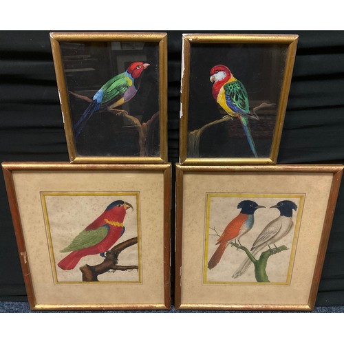 204 - Francois Nicholas Martinet, by and after, a pair, exotic birds, hand-coloured engravings, 22.5cm x 1... 