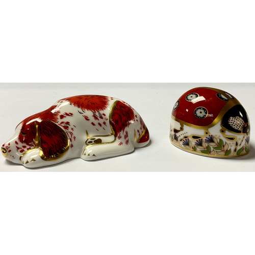 5027 - A Royal Crown Derby paperweight, Seven Spot Ladybird, gold stopper, boxed; another, Puppy, members p... 