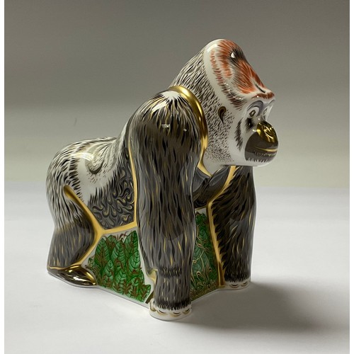 5036 - A Royal Crown Derby paperweight, Mountain Gorilla, specially commissioned for Connaught House, limit... 