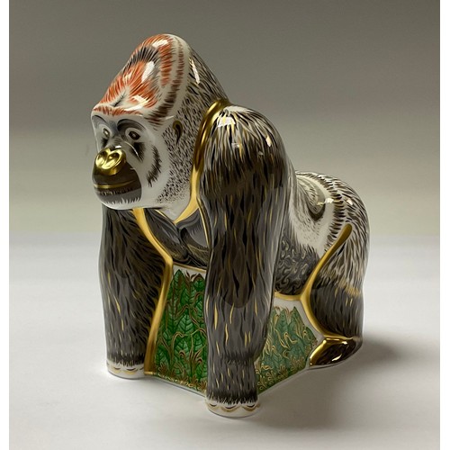 5036 - A Royal Crown Derby paperweight, Mountain Gorilla, specially commissioned for Connaught House, limit... 